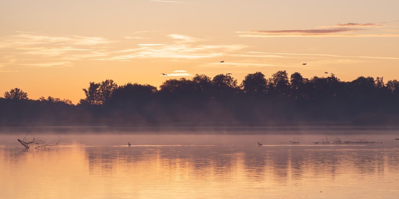 모닝 냉각수 부족 문제 해결하기 위한 필수 체크리스트와 꿀팁 알아보자